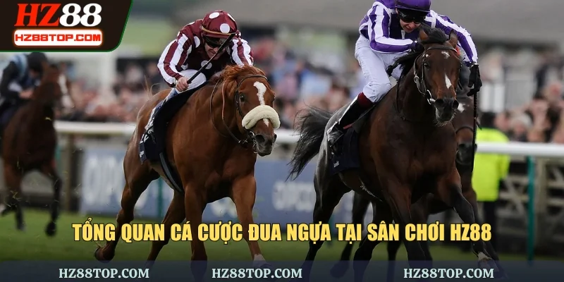 Tổng quan cá cược đua ngựa tại sân chơi HZ88
